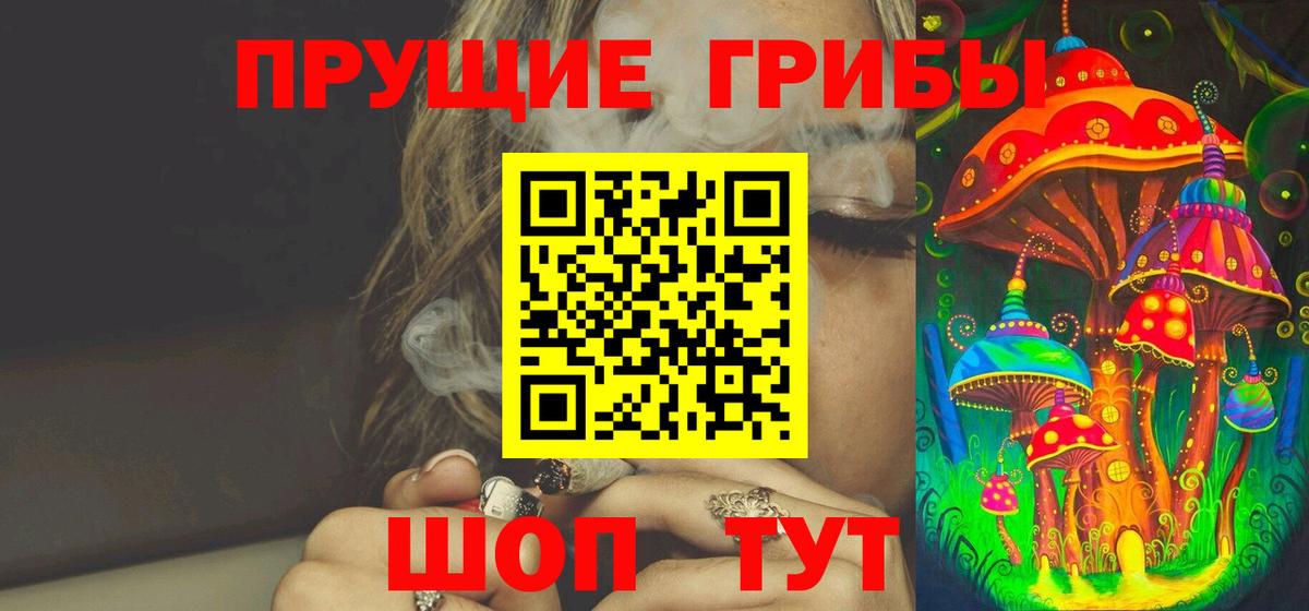 Галлюциногенные грибы Psilocybe Чистополь